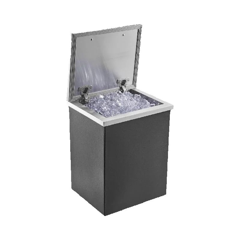 SucceBuy Drop in Ice Chest Sta - Commercial Kitchen Bin reseña y precio